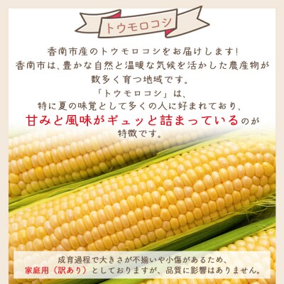 【2026年6月中旬発送開始】とうもろこし 10本 訳あり 家庭用 夏野菜 yr-0076