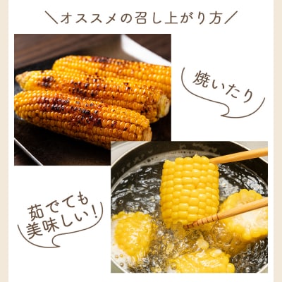 【2026年6月中旬発送開始】とうもろこし 10本 訳あり 家庭用 夏野菜 yr-0076