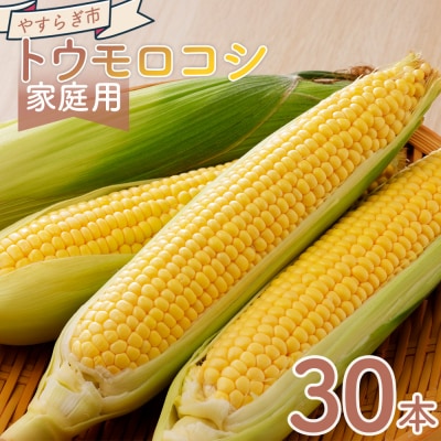 【2026年6月中旬発送開始】とうもろこし 30本 訳あり 家庭用 夏野菜 yr-0078