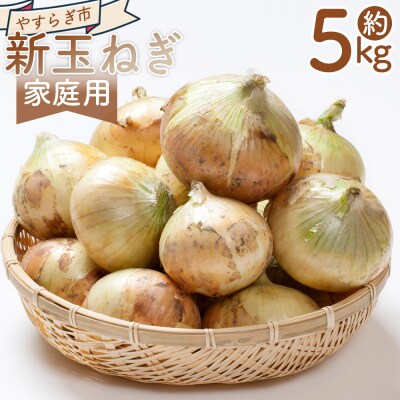 【2026年3月以降順次発送】新玉ねぎ 5kg 家庭用 5キロ yr-0079