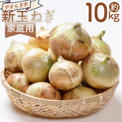 【2026年3月以降順次発送】新玉ねぎ 10kg 家庭用 10キロ yr-0080
