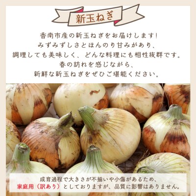 【2026年3月以降順次発送】新玉ねぎ 10kg 家庭用 10キロ yr-0080