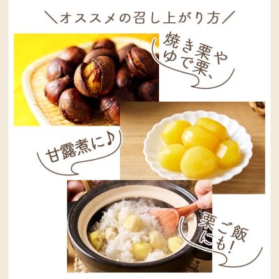 栄養豊富な秋の味覚 クリ(栗) 2袋(2kg) yr-0103