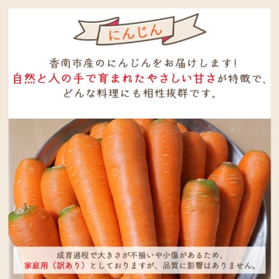 【発送開始】にんじん 5kg 家庭用 5キロ yr-0083