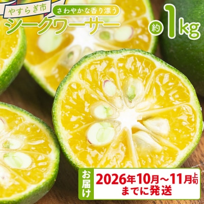 さわやかな香り漂うシークワーサー 1kg yr-0106