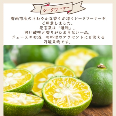 さわやかな香り漂うシークワーサー 1kg yr-0106
