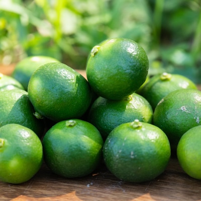 さわやかな香り漂うシークワーサー 1kg yr-0106