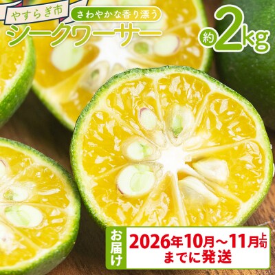 さわやかな香り漂うシークワーサー 2kg yr-0107