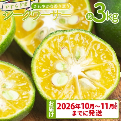 さわやかな香り漂うシークワーサー 3kg yr-0108