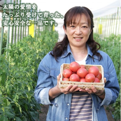 【2月下旬より順次配送】野菜ソムリエが育てた うしの惠フルーツトマト 1kg mj-0025