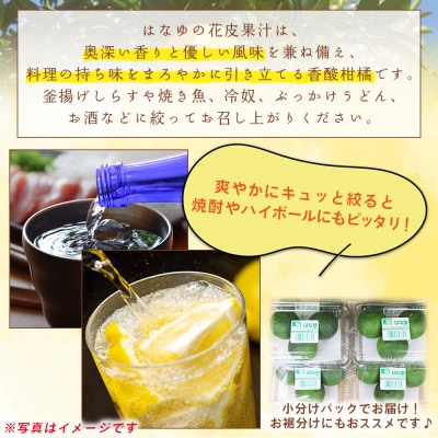 【7月より順次発送】花柚子 はなゆ青玉 8パック 国産 柚子 hy-0001