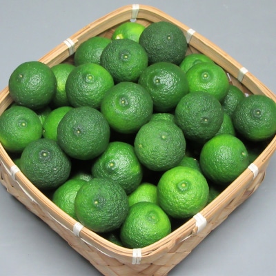 【7月より順次発送】花柚子 はなゆ青玉 16パック 国産 柚子 hy-0002