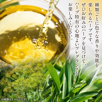 おやすみ月桃・ディルシードブレンドハーブティー 54袋 gr-0146