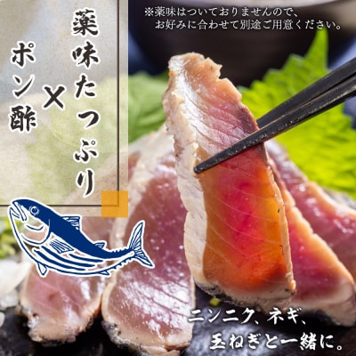 【2回定期便】本場高知の鰹のたたき スライス(100g×8袋) Wnz-0027