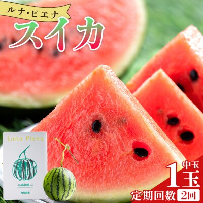 【2回定期便】ルナ・ピエナスイカ(中玉) 1玉 Wyu-0063