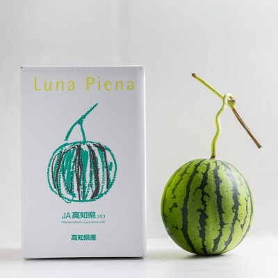 【3回定期便】スイカ ルナ・ピエナスイカ(中玉) 1玉 Wyu-0064
