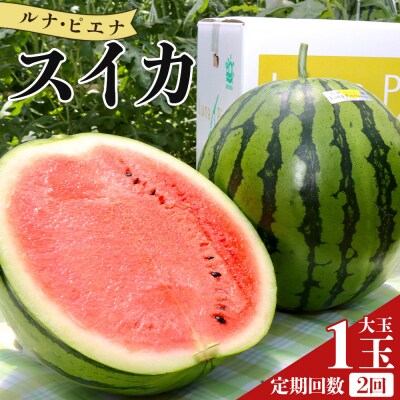 【2回定期便】ルナ・ピエナスイカ(大玉) 1玉 Wyu-0041