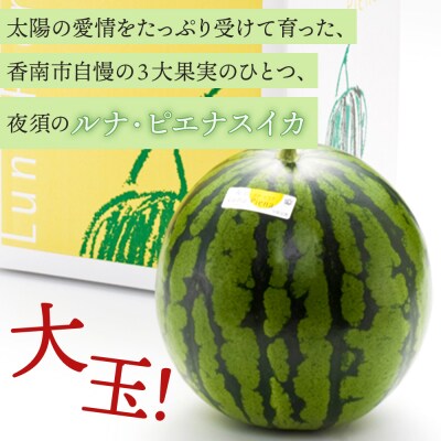 【2回定期便】ルナ・ピエナスイカ(大玉) 1玉 Wyu-0080