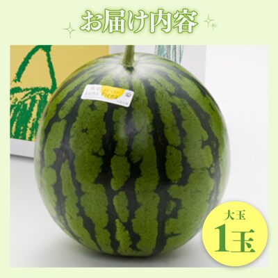 【2回定期便】ルナ・ピエナスイカ(大玉) 1玉 Wyu-0041