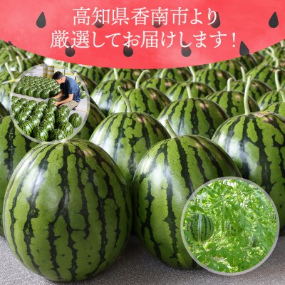 【3回定期便】ルナ・ピエナスイカ(大玉) 1玉 Wyu-0042