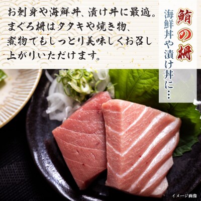 【12回定期便】まぐろ柵 5袋(500g以上) - 国産 刺身 漬け丼 Wnz-0086