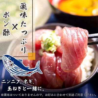 【12回定期便】本場高知の鰹の刺身 スライス(100g✕2袋) - 国産 漬け丼 Wnz-0037