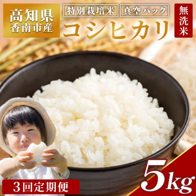 【3回定期便】コシヒカリ 5kg 令和7年産 特別栽培米 高知県香南市産 Wnu-0012