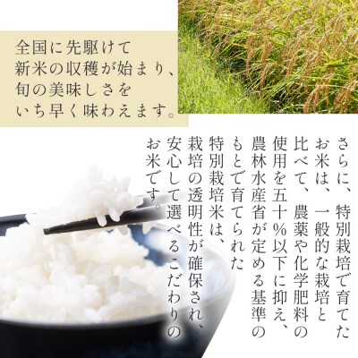 【3回定期便】コシヒカリ 5kg 令和7年産 特別栽培米 高知県香南市産 Wnu-0012