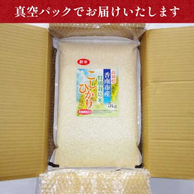 【3回定期便】コシヒカリ 10kg 令和7年産 特別栽培米 高知県香南市産 Wnu-0013