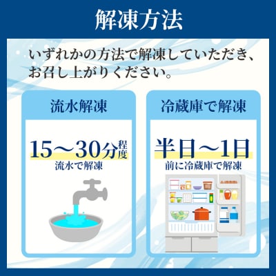 【6回定期便】本場高知の藁焼き鰹のたたき 約1kg以上(節変動有) かつお Wnz-0014