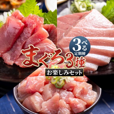 【3回定期便】〈月替わり〉まぐろ 3種 お楽しみセット マグロ 鮪 Wnz-0116