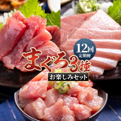 【12回定期便】〈月替わり〉まぐろ 3種 お楽しみセット マグロ 鮪 Wnz-0119