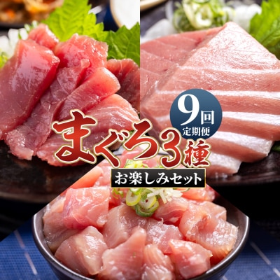 【9回定期便】〈月替わり〉まぐろ 3種 お楽しみセット マグロ 鮪 Wnz-0118