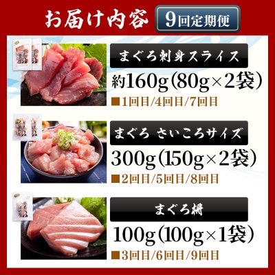 【9回定期便】〈月替わり〉まぐろ 3種 お楽しみセット マグロ 鮪 Wnz-0118