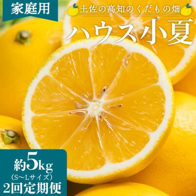 【2回定期便】土佐の高知のくだもの畑 ハウス小夏5kg(家庭用) Wkd-0034