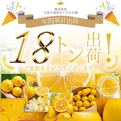 【2回定期便】土佐の高知のくだもの畑 ハウス小夏5kg(家庭用) Wkd-0034