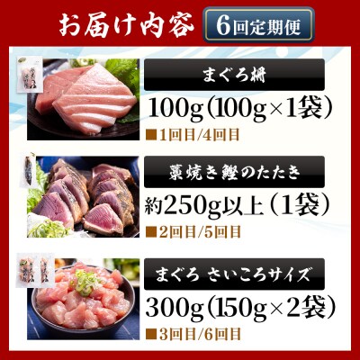 【6回定期便】〈月替わり〉かつお・まぐろ お楽しみセット かつおのたたき マグロ Wnz-0121