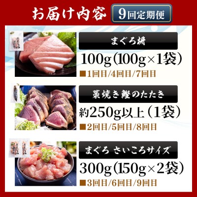 【9回定期便】〈月替わり〉かつお・まぐろ お楽しみセット かつおのたたき マグロ Wnz-0122