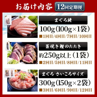 【12回定期便】〈月替わり〉かつお・まぐろ お楽しみセット かつおのたたき マグロ Wnz-0123