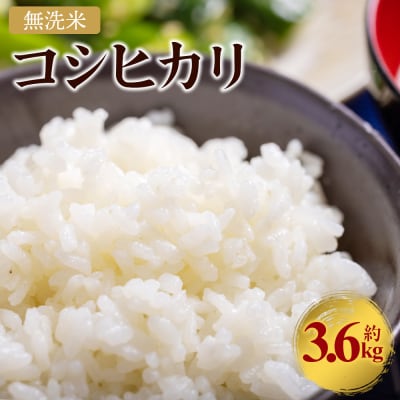 令和7年産 無洗米 コシヒカリ 計約3.6kg cs-0003