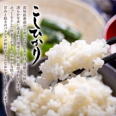 令和7年産 無洗米 コシヒカリ 計約3.6kg cs-0003
