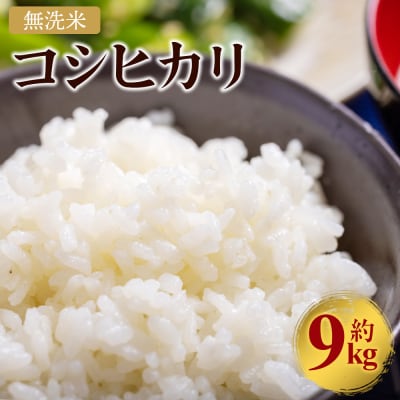 令和7年産 無洗米 コシヒカリ 計約9kg cs-0004