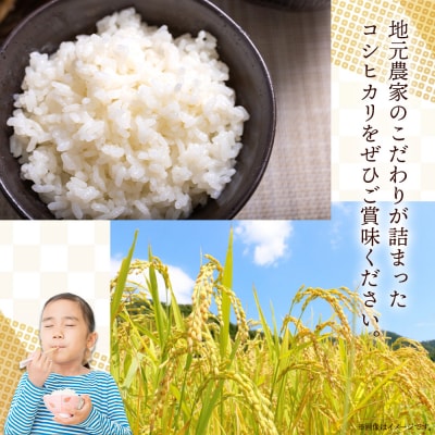 令和7年産 無洗米 コシヒカリ 計約9kg cs-0004