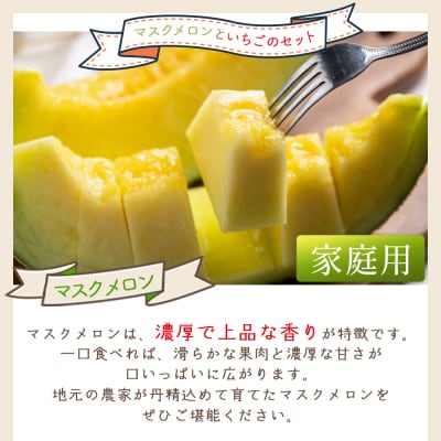 マスクメロン イチゴセット yr-0110