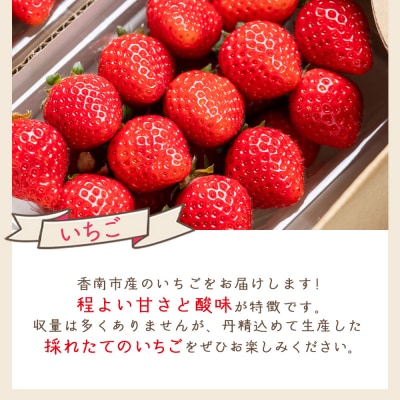 マスクメロン イチゴセット yr-0110