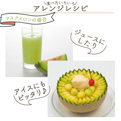 【2027年2月中旬発送開始】マスクメロン イチゴセット yr-0110