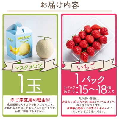 【2027年2月中旬発送開始】マスクメロン イチゴセット yr-0110
