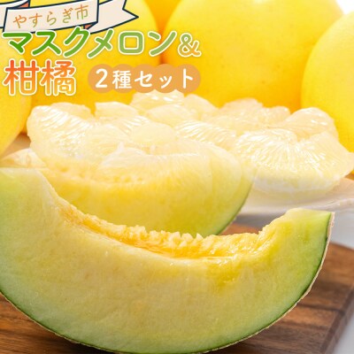 【2026年11月発送】マスクメロン 柑橘 2種セット yr-0111