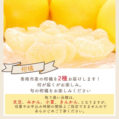 マスクメロン 柑橘 2種セット yr-0111