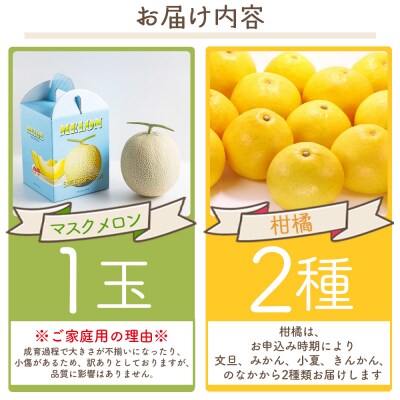 【2026年11月発送】マスクメロン 柑橘 2種セット yr-0111